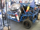 expo buggy 6