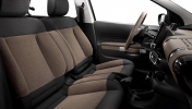 citroen c4 cactus oficial_19