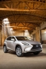 lexus nx_27