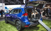 Nissan Rogue Dogue