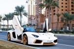 lamborghini aventador roadster national day golden limited edition_02