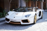 lamborghini aventador roadster national day golden limited edition_09