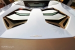 lamborghini aventador roadster national day golden limited edition_13