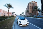 lamborghini aventador roadster national day golden limited edition_14