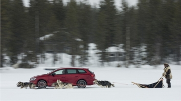 SEAT Leon Cupra la întrecere cu 6 câini frumoși