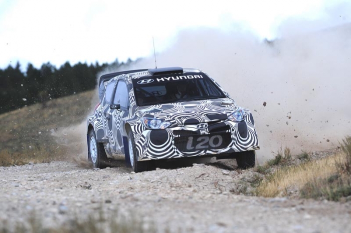 Hyundai va lansa o divizie sport