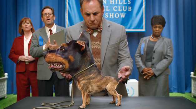 Audi a lansat "Doberhuahua", reclama pentru Super Bowl 2014